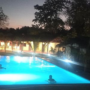 Triple Room Pool View